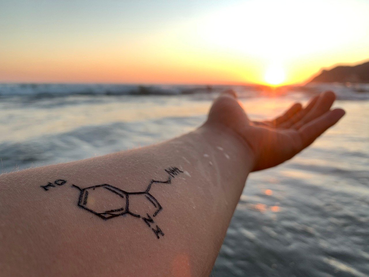 tattoo, chemist, beach, sea, water, ocean, nature, people, tanning, body, sun, sunbathing, man, tattoo, chemist, chemist, chemist, chemist, chemist